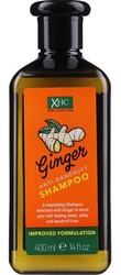 Xpel Ginger Šampon proti lupům 400 ml