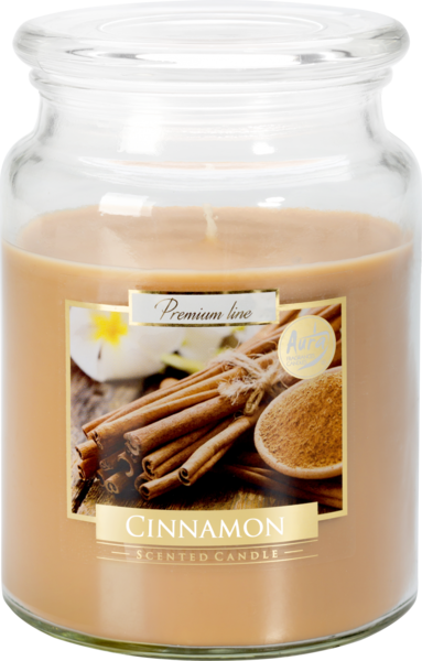 Bispol Cinnamon svíčka ve skleněné dóze 500g